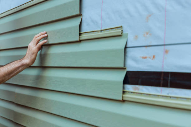 Best Custom Trim and Detailing for Siding  in Kaukauna, WI